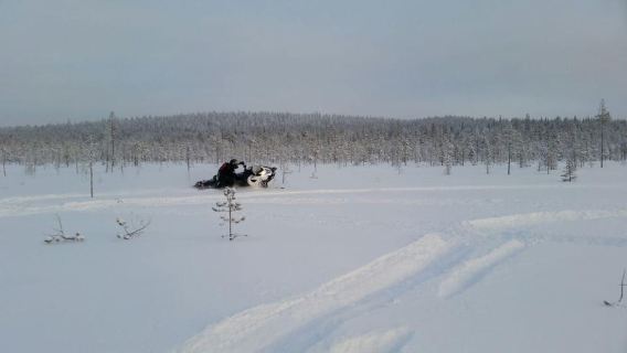 Rovaniemi: Backwoods Adventure Full Day Snowmobile Safari