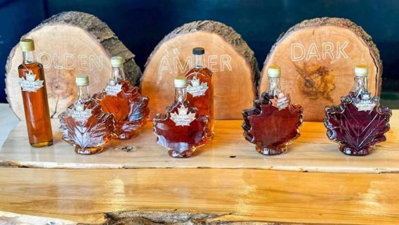 Toronto: tour di un giorno alle Cascate del Niagara con crociera in barca facoltativa