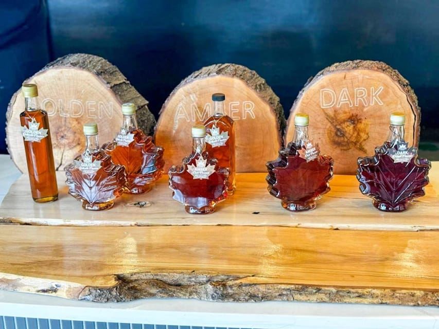 Toronto: Niagara Falls Day Tour with Optional Boat Cruise