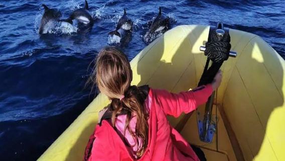 Lanzarote: osservazione dei delfini in motoscafo