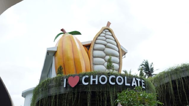 Ubud: Chocolate Workshop, Class & Tasting