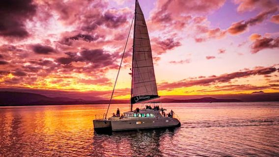 Port Douglas: Low Isles Afternoon Cruise on Luxury Catamaran