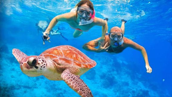 Oahu: Oahu Ultimate Grand Circle Island Tour
