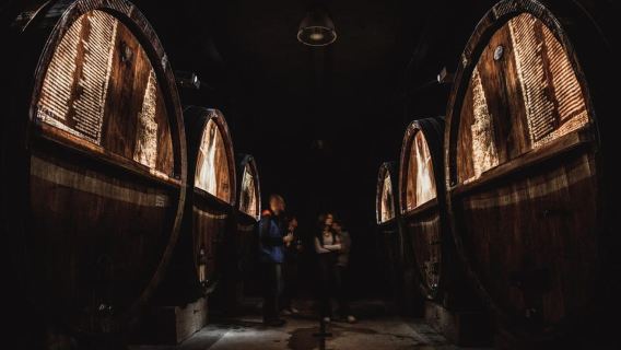 Alsacia: visita a una bodega y Wine Time (merienda en torno al vino)