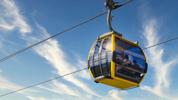 DMZ Tour with Optional Gondola and Suspension Bridge