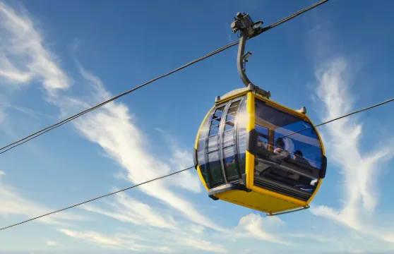 DMZ非武裝地帶導賞團連可選纜車及吊橋