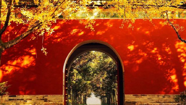 橄欖遊●明孝陵2小時人員導覽小私人導覽 網紅資深導遊精講