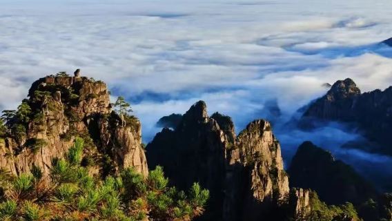 黃山一日遊【可選經典團/夜遊徽州古城/徽秀演出/呈坎魚燈】