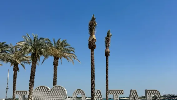 Servizio di pick-up dall'aeroporto/trasferimento all'aeroporto e itinerari personalizzati a Doha, Qatar