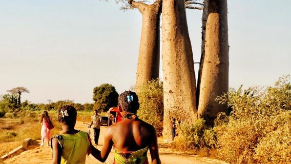 馬達加斯加【2人起|專屬包車「7」日遊】花兒與少年同款