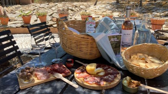 Olive Oil Farm Picnic