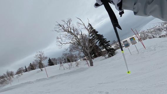 Japón + Hokkaidō + Traslado privado al campo de esquí de Asarigawa Onsen/Itinerario ajustable