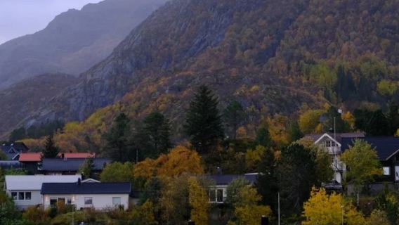 挪威斯沃爾維爾-羅弗敦群島-紅房子雷訥-可拼小團/包車-精選