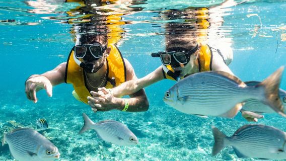 Cancún: Tour lặn ngắm san hô 5 trong 1