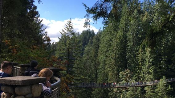 Capilano Suspension Bridge Park + Granville Island Public Market + Gastown day tour