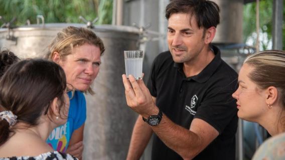 Экскурсия по лавандовому полю и винокурне между Нимом и Арлем