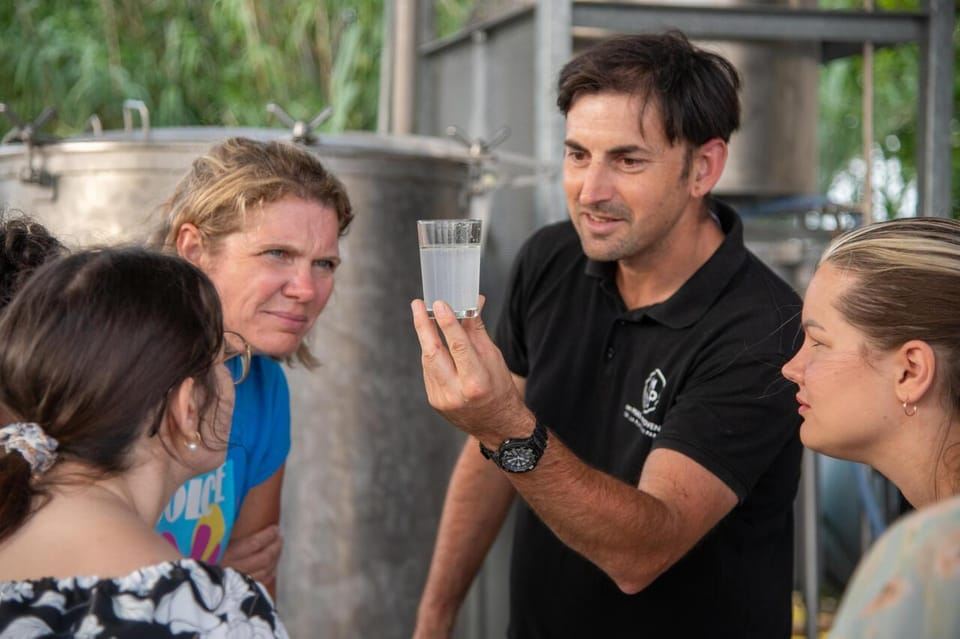 Lavendelfeld- und Destillerie-Tour zwischen Nîmes und Arles