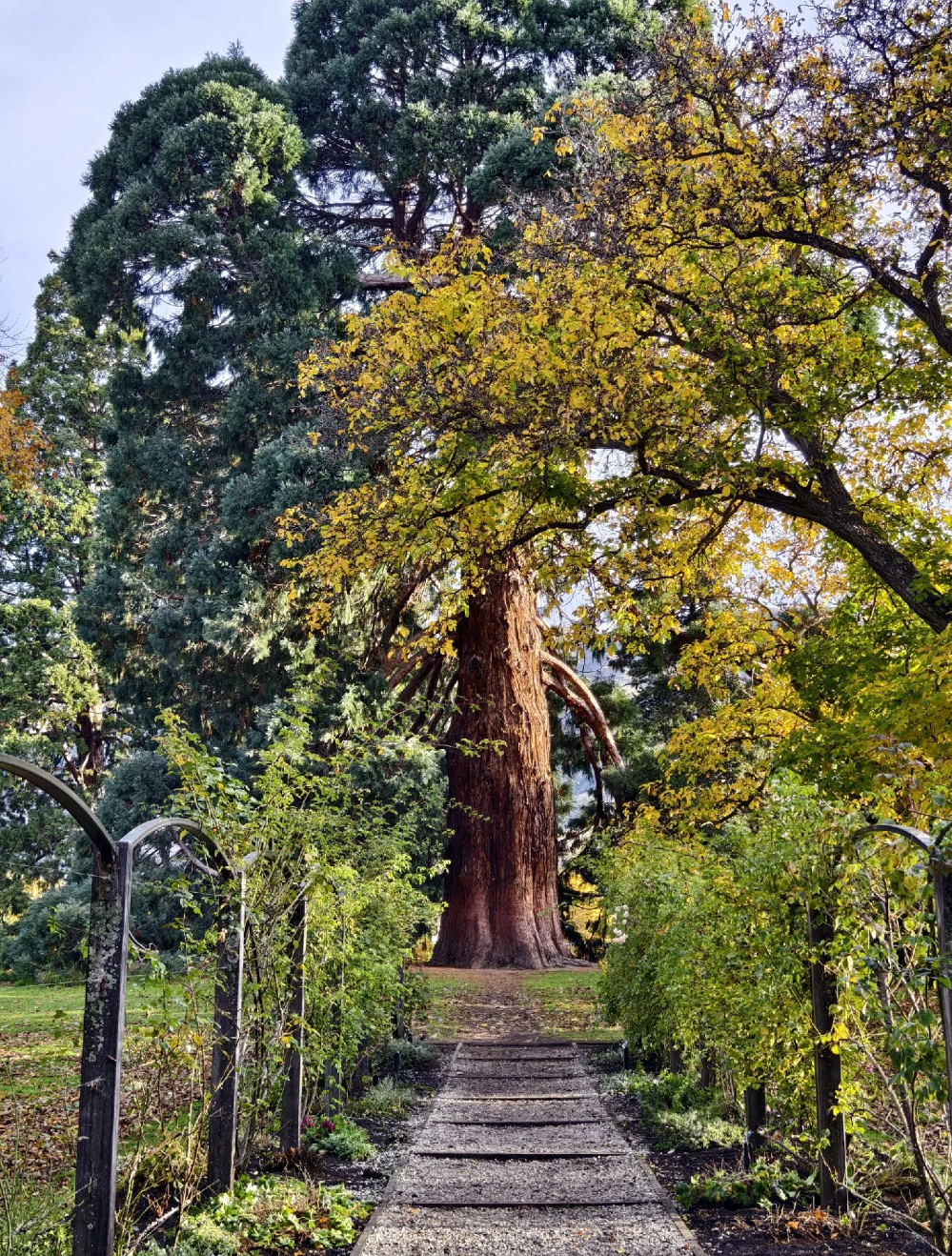 Queenstown Departure: Arrowtown + Cromwell + Wanaka Day Tour [Flexible Itinerary]