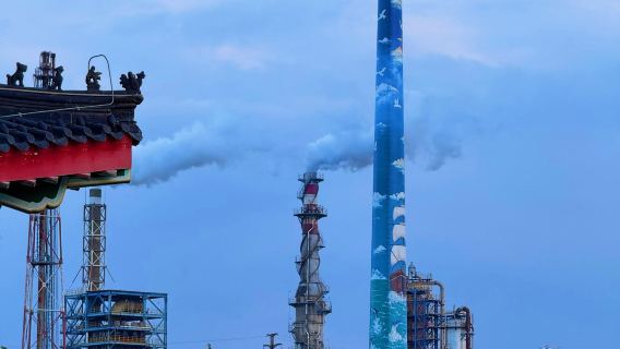 Lawatan sehari ke Taman Bandar Singa Cangzhou + Taman Ekspo Hortikultura + Jalan Lama Nanchuan + Bangunan Langyin dengan perkhidmatan dalam bahasa Inggeris