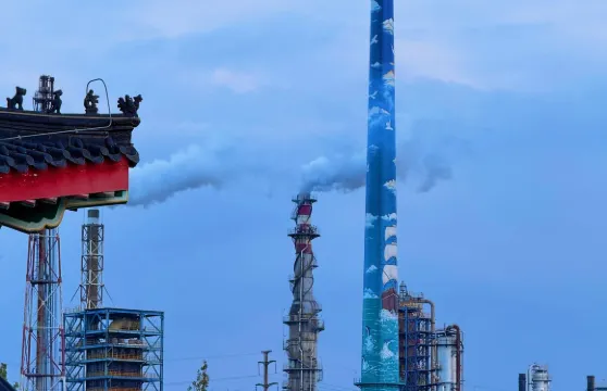 河北滄州獅城公園+園博園+南川老街+朗吟樓一日遊可中英文服務