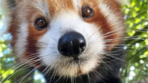 Auckland Family-Friendly Light Outdoor + Local Life Private Charter Day Tour (Chinese/English Speaking Driver)