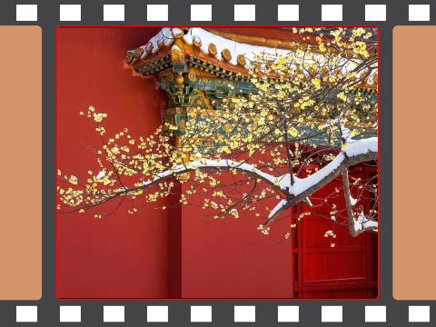 鐘山風景名勝區一日遊（中山陵景區+音樂台+明孝陵+美齡宮）