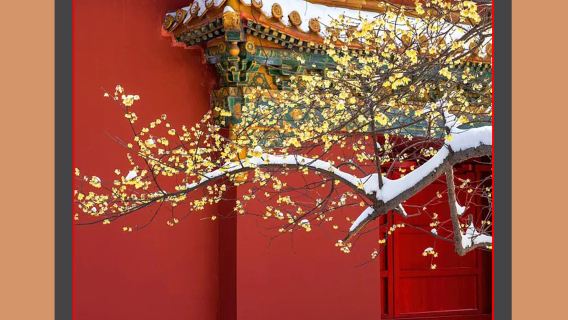 【鐘山風景名勝區一日遊】中山陵景區+音樂台+明孝陵+美齡宮