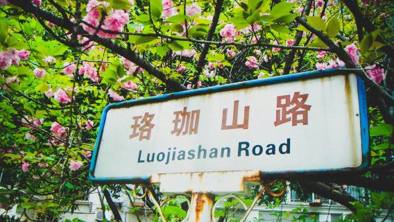 Tour Giornaliero ai Fiori di Ciliegio di Wuhan