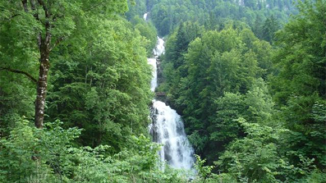 蘇黎世出發：吉斯巴赫瀑布+施皮茨小鎮+布里恩茨湖【中文包車】