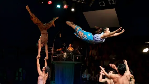 Quick Escape: Phare, The Cambodian Circus tickets in Siem Reap/Limited-time offer