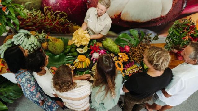 Esperienza di tour giornaliero alla fattoria di frutta tropicale di Gold Coast | Include degustazione di frutta, trenino e crociera
