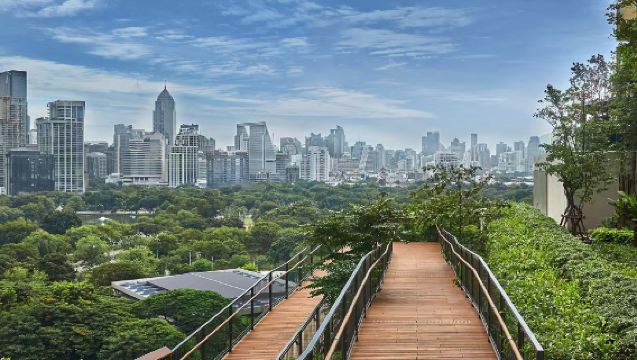 Bangkok'taki Dusit Central Park ve Wat Phra That Doi Suthep'in büyüleyici ara sokaklarında yarım günlük yürüyüş turu.