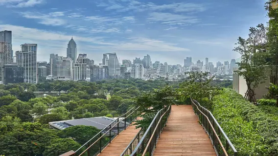 Half-day walking tour through the charming alleyways of Dusit Central Park and Wat Phra That Doi Suthep in Bangkok by Trip from 667 THB
