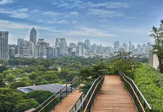 Half-day walking tour through the charming alleyways of Dusit Central Park and Wat Phra That Doi Suthep in Bangkok