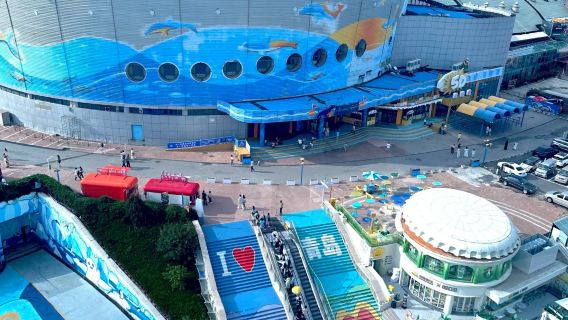 青島極地海洋公園丨棧橋丨八大關丨市區一日遊丨可接駁