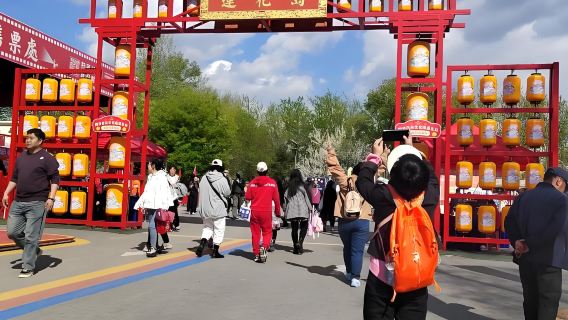 Lawatan Sehari ke Changchun + Bandar Filem Pulau Teratai + Galeri Pengalaman AI Perjalanan Masa