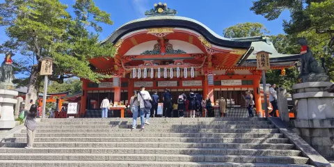 日本大阪/宇治/神戶/奈良&講解-翻譯-導遊-中文定制包車