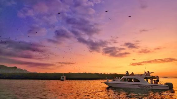 Wisata Sunset di Komodo, Indonesia (Trekking Pulau + Keindahan Karang + Sunset Cruise ke Tiga Pulau)