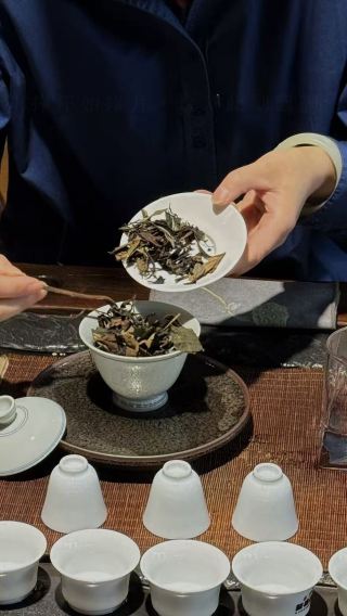 칭청산(청성산) 차문화 체험 당일 치기 여행 [차 따기/차 만들기/차 맛보기/차 훠궈]