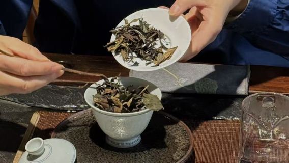 Dagsrejse til Qingcheng-bjergets tekultur oplevelse [teplukning/tefremstilling/tesmagning/te-hotpot]