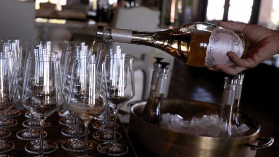 Paso Robles: 3 Wineries Tour with Picnic Lunch and Tasting