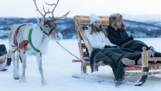 Tromso, Norway reindeer farm · Sami culture · reindeer sledding experience · multiple durations available