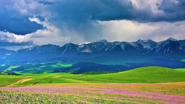 伊犁喀拉峻草原一日遊【6人小團+暢玩4-5小時+探秘五色花海】