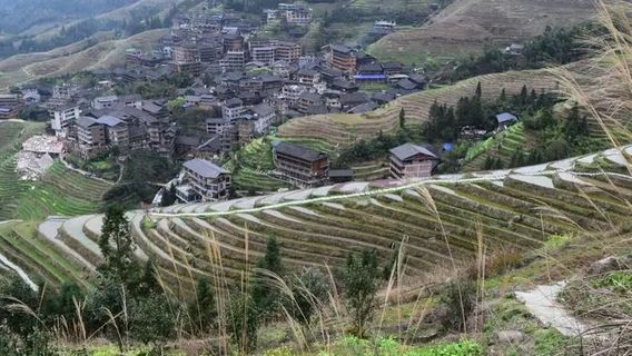 LongshengTours