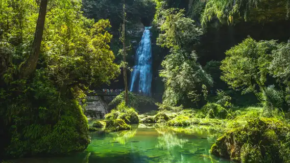 Shanlinxi Forest Recreation Area + Wangyou Forest 1-day tour | Join-in tour buy 1 get 1 free offer