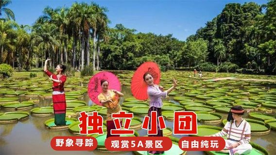 景洪