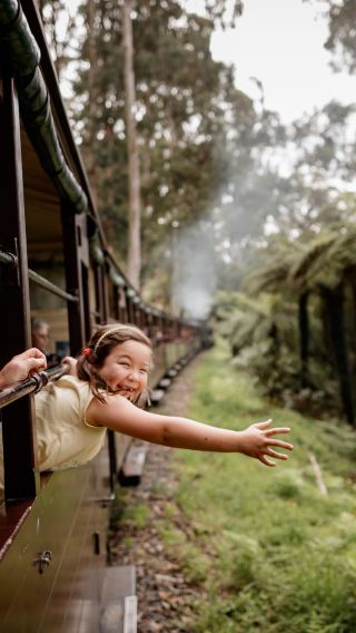 Melbourne Puffing Billy Steam Train & Phillip Island Penguin Parade one-day tour