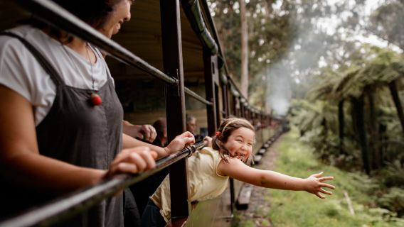 Melbourne Puffing Billy Steam Train & Phillip Island Penguin Parade one-day tour