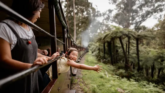 Melbourne Puffing Billy Steam Train & Phillip Island Penguin Parade one-day tour