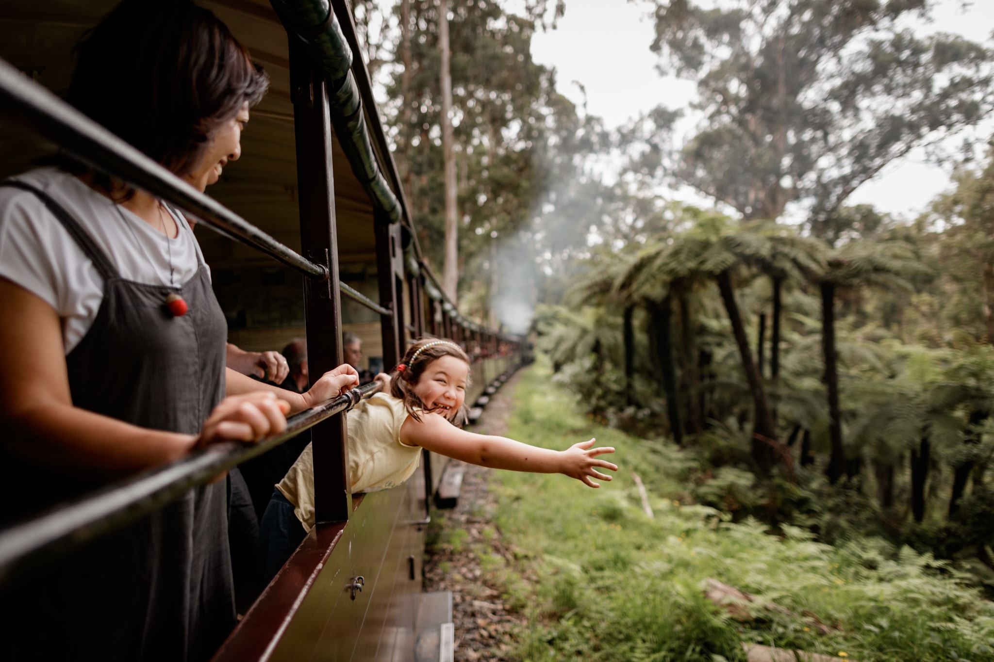 Melbourne Puffing Billy Steam Train & Phillip Island Penguin Parade one-day tour